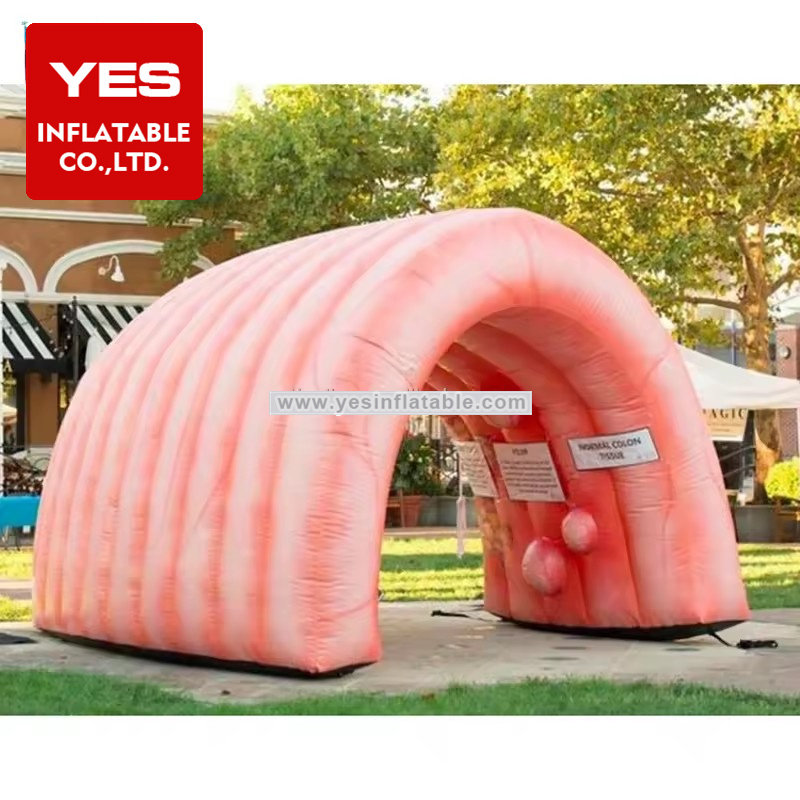 High Quality Custom Inflatable Tent Art Exhibition Inflatable Passage Tent