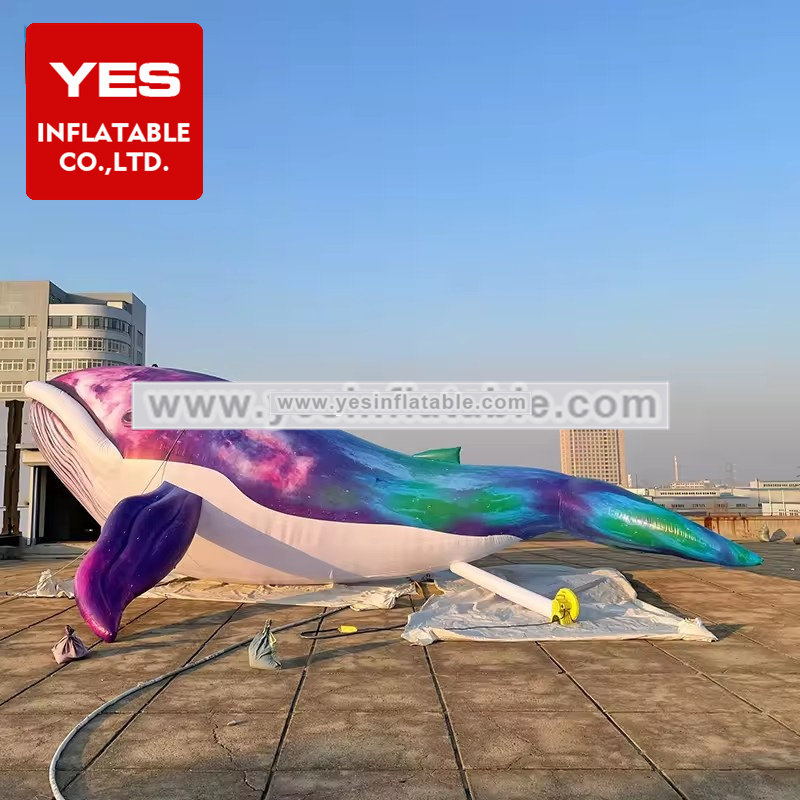 Hot Sale Giant Ocean Zoo Inflatable Decoration Inflatable Blue Whale Shark Sea Animal   Dolphin For Advertising