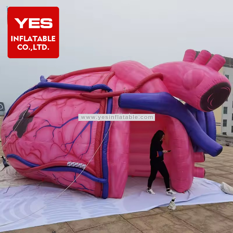 Inflatable Heart Model