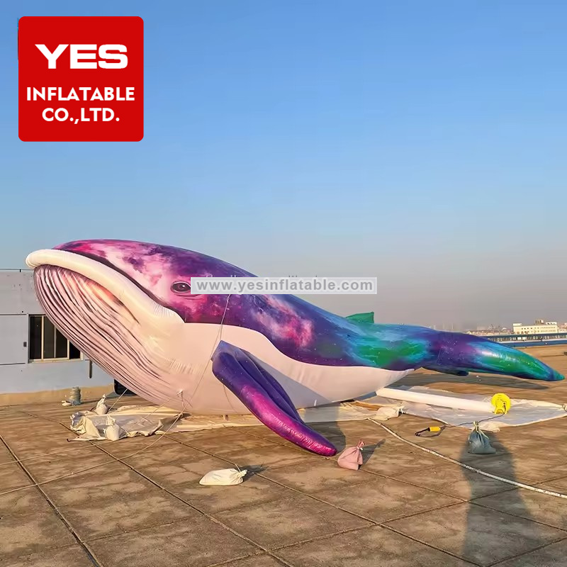 Hot Sale Giant Ocean Zoo Inflatable Decoration Inflatable Blue Whale Shark Sea Animal   Dolphin For Advertising